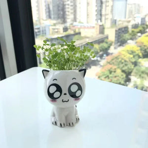 1Pc Mini Cat Ceramic Flowerpot - Homerable