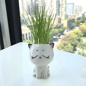 1Pc Mini Cat Ceramic Flowerpot - Homerable