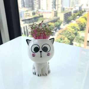 1Pc Mini Cat Ceramic Flowerpot - Homerable